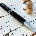 Stylo bille en ébène de macassar